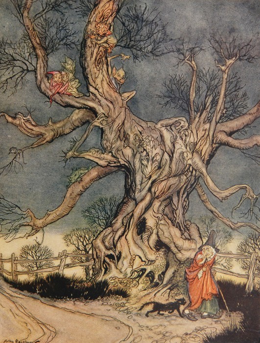 Tree Trunks From An Arthur Rackham Illustration